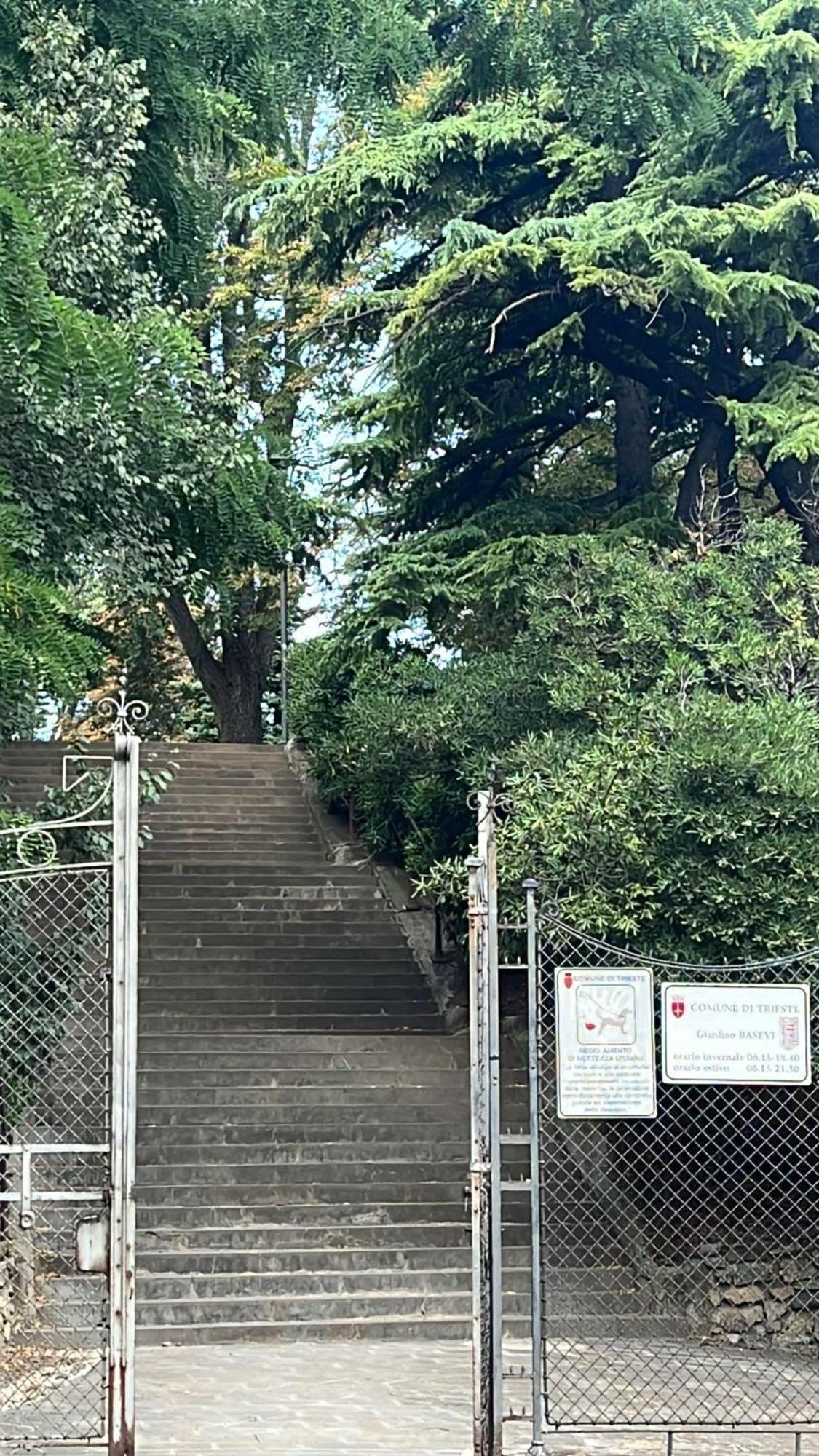 Casa Alice A 2 Passi Dal Centro 55 Mt 2 Lägenhet Trieste Exteriör bild